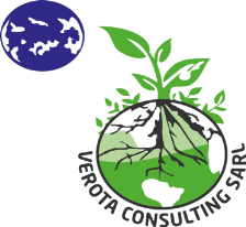 Verota Consulting