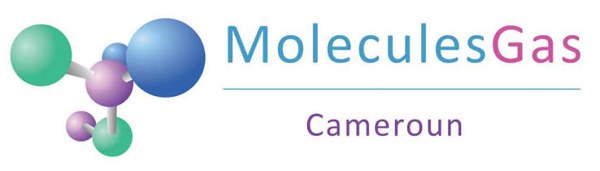 Molecules Gas Cameroun