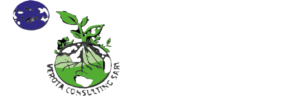 VEROTA CONSULTING SARL